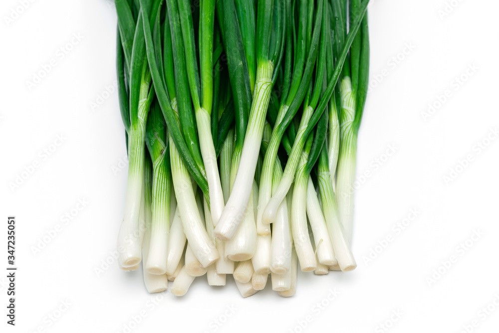 bunch of green fresh onions on a white background bunch of green fresh onions on a white background
