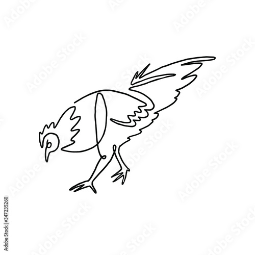 Chicken Continuous One Line 