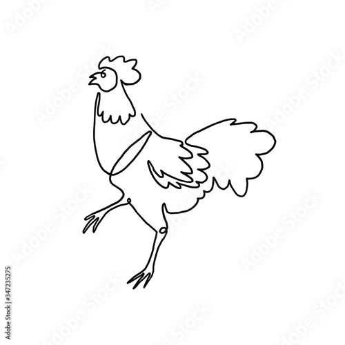 Chicken Continuous One Line 