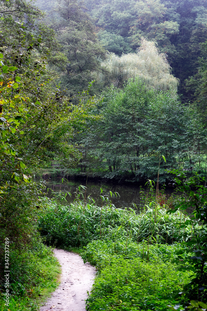 Vaux de Cernay stream in the Upper Chevreuse Valley Regional Nature Park Vaux de Cernay stream in the Upper Chevreuse Valley Regional Nature Park