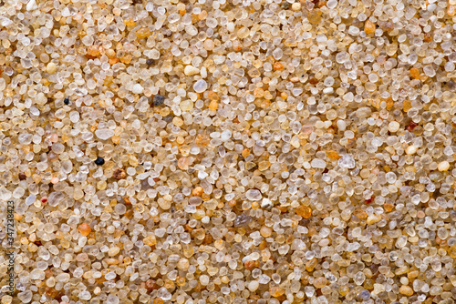 Texture. Calibrated Quartz Sand. Macro.