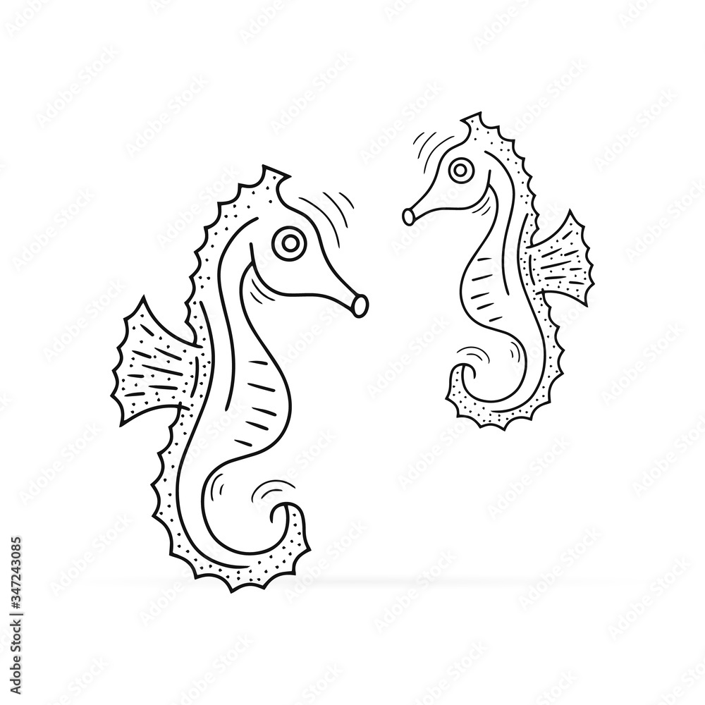 Outline underwater animal isolated on white. Seahorse in water. Sketch hand drawing art line. Coloring page book. Outline sea life. Vector stock illustration Outline underwater animal isolated on white. Seahorse in water. Sketch hand drawing art line. Coloring page book. Outline sea life. Vector stock illustration