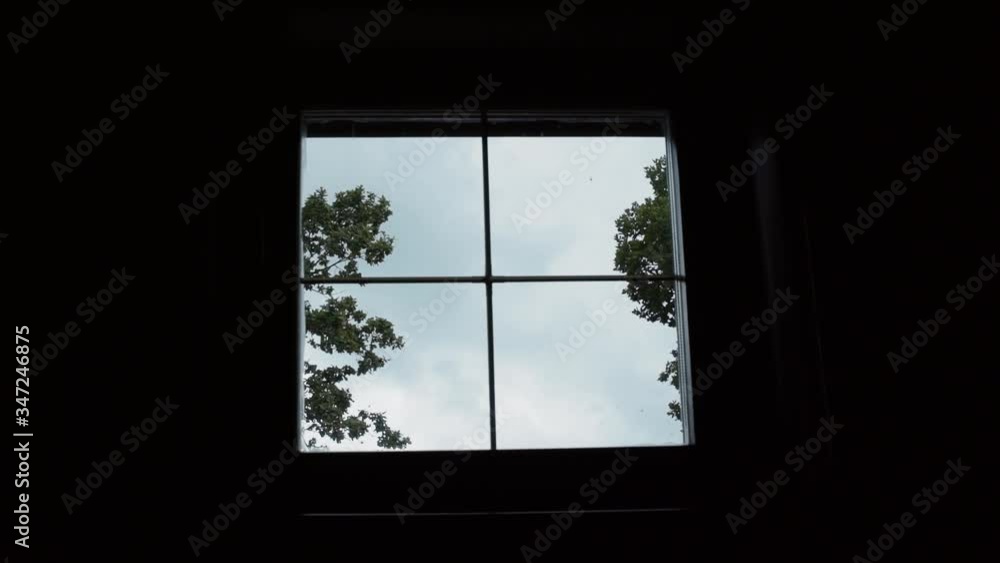 View from a small window to the street on a blue sky and tree branches with leaves View from a small window to the street on a blue sky and tree branches with leaves