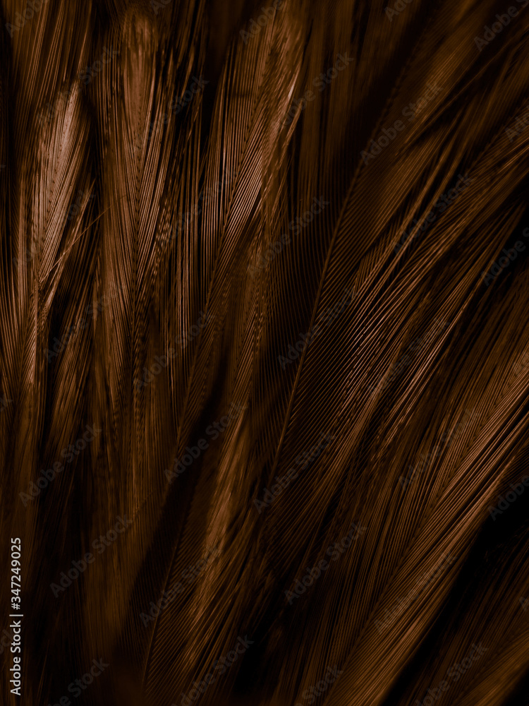 Obraz premium Beautiful abstract white and brown feathers on white background and soft yellow feather texture on white pattern and yellow background, feather background, gold feathers banners