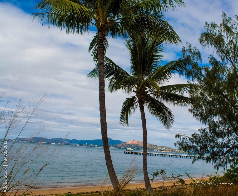Palm Trees On Beach Against Cloudy Sky