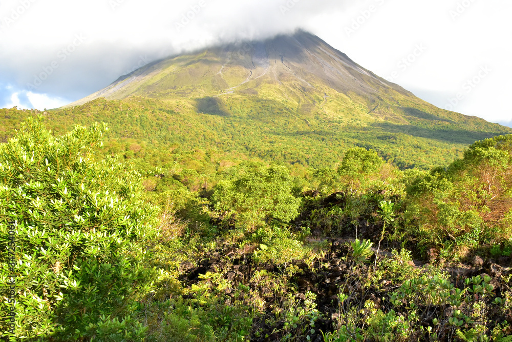 Landscape of the vegetation of the natural park of the Arenal volcano