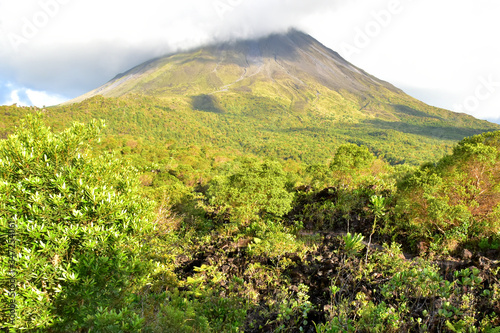 Landscape of the vegetation of the natural park of the Arenal volcano