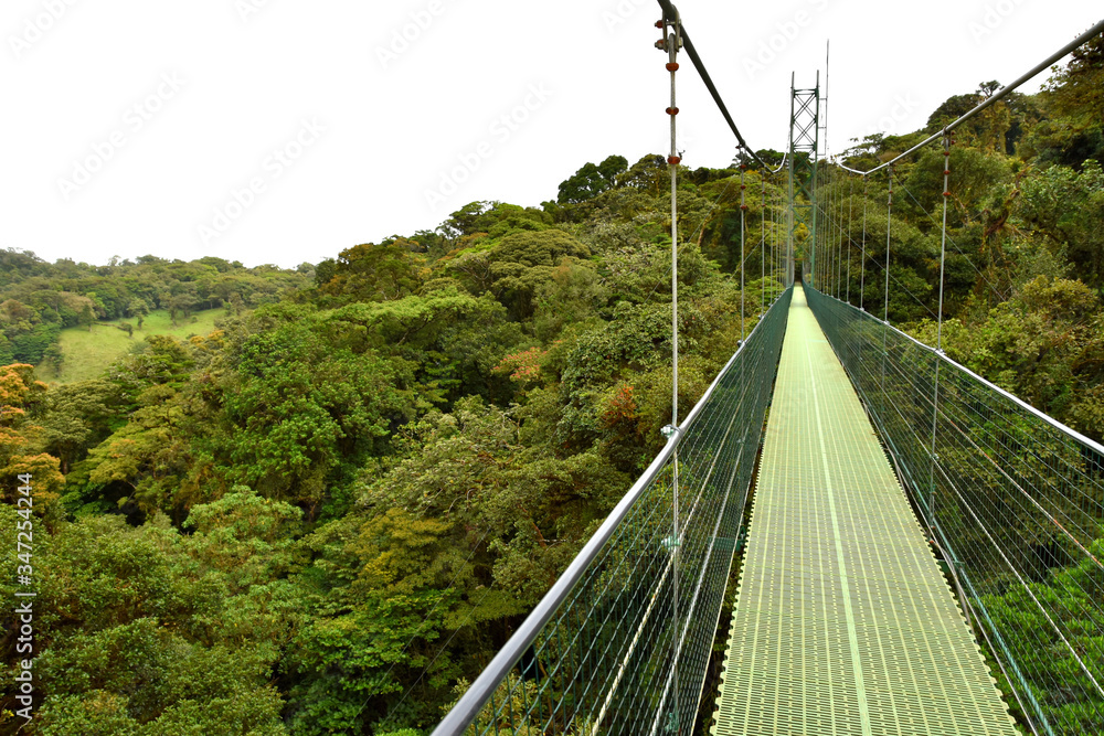 view of the suspension bridge