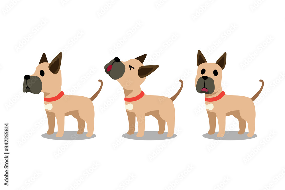 Set of vector cartoon character great dane dog poses for design. Stock  Vector | Adobe Stock