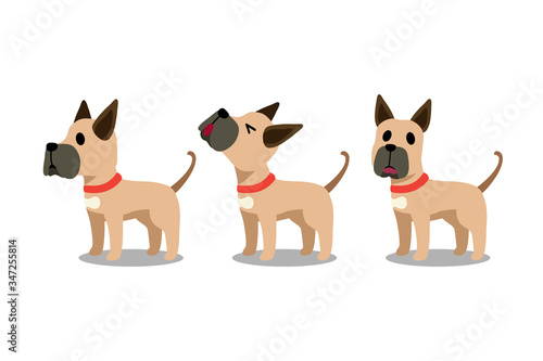 Set of vector cartoon character great dane dog poses for design.