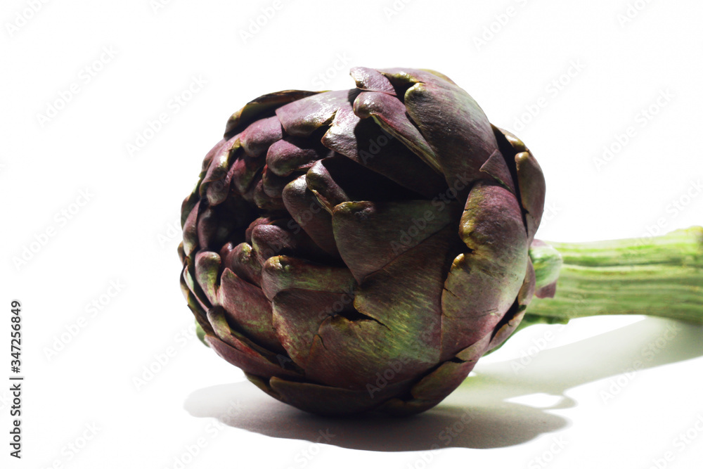 Fototapeta premium artichoke isolated on white background