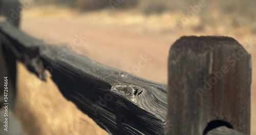 Old Fence