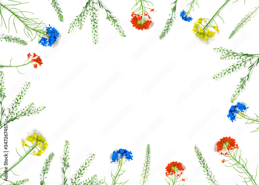 Fototapeta premium Flowers composition.Blue, yellow and red wildflowers on a white background.