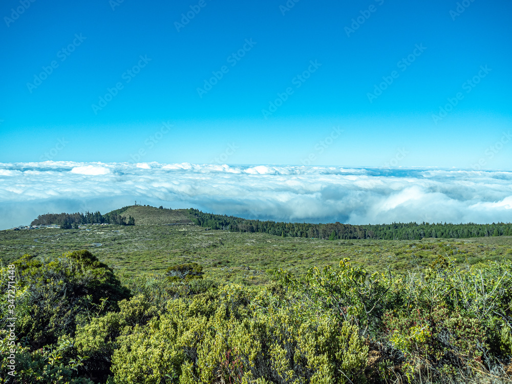 Blue sky and lush green vegetation above the clouds with copy space.