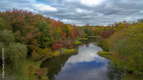 autumn in the forest