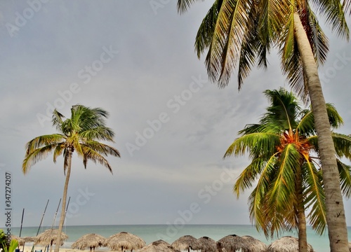 Fotograf  a panor  mica del Mar Caribe con palmeras y vegetaci  n que llega a la misma arena blanca con el agua color turquesa al fondo