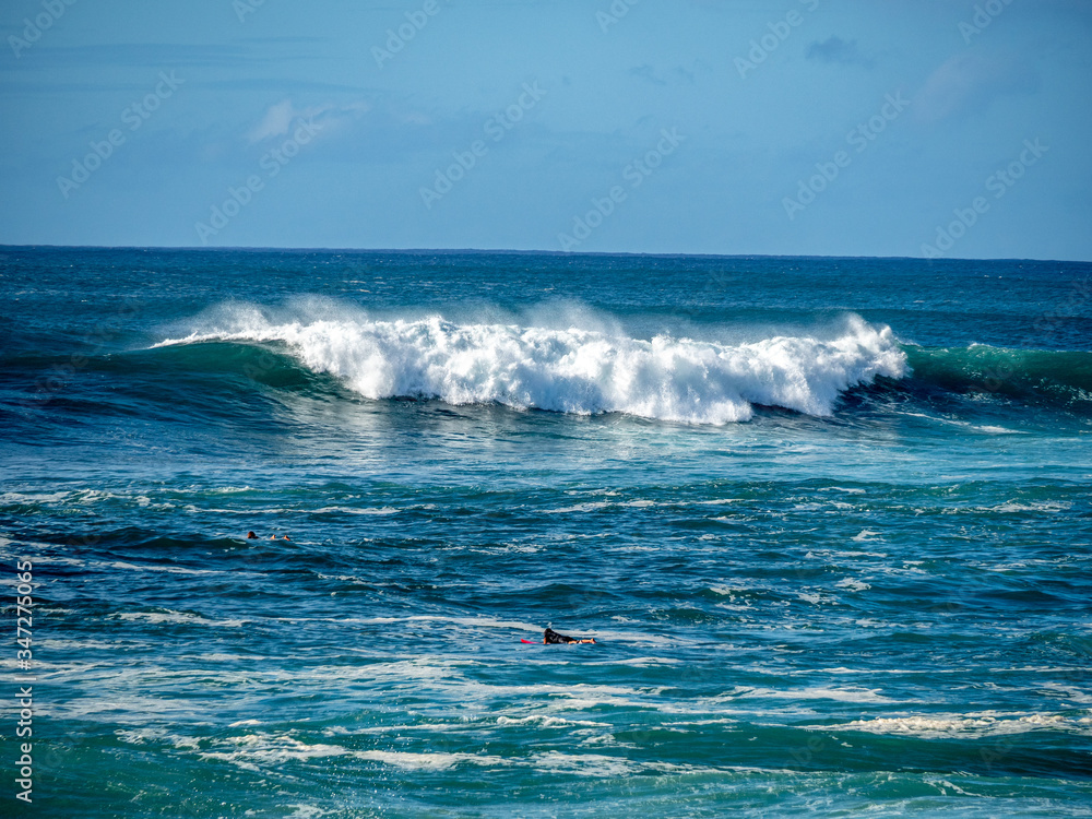 Fototapeta premium Surfers attempt to ride the big waves of Oahu's North Shore.
