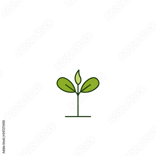 Plant growth icon vector illustration © Kusdarti