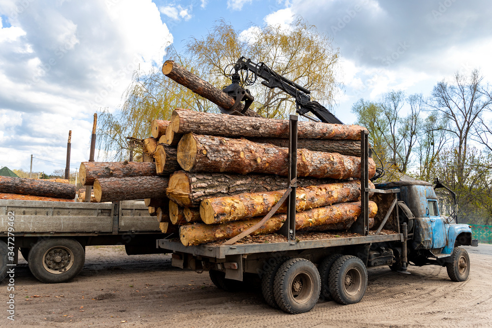 Loading heavy industrial truck trailer with big timber pine, spruce, cedar logs by crane grab loader tractor machine. Pile coniferous lumber shipping at sawmill. Deforestation and nature exploitation