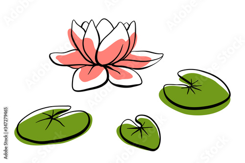 Waterlily, lotus flower and leaves on the water surface. Hand drawn colorful sketch of tropical flowers and leaves isolated on white background. Vector illustration