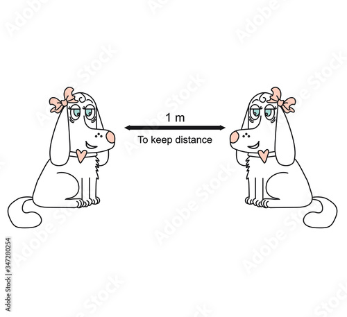 Hold the remote sign with white dogs with bows. She and she. Coronovirus epidemiological protection. Warning and protection. Keep a distance of 1 meter. Vector illustration