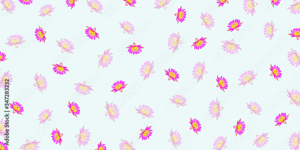 Lotus flowers isolated on soft background for pattern Lotus flowers isolated on soft background for pattern
