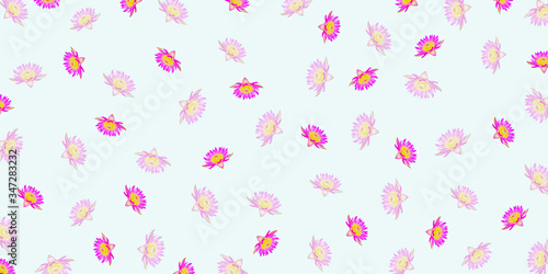 Lotus flowers isolated on soft background for pattern