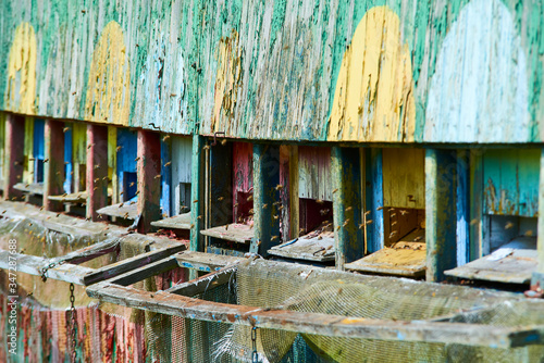Close up of bee hives on ecological field