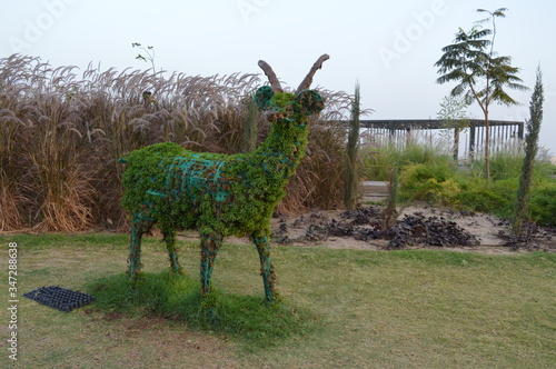 Ahmedabad Riverfront Flowerpark
Green Grass Deer (ID: 347288638)