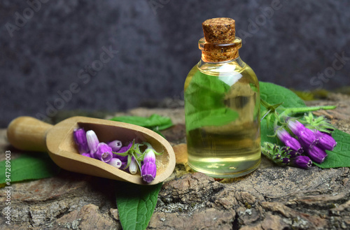 comfrey balm oil for remedy