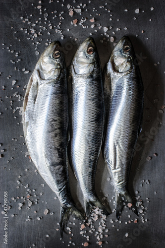 Canvas Print fresh fish herring on ice