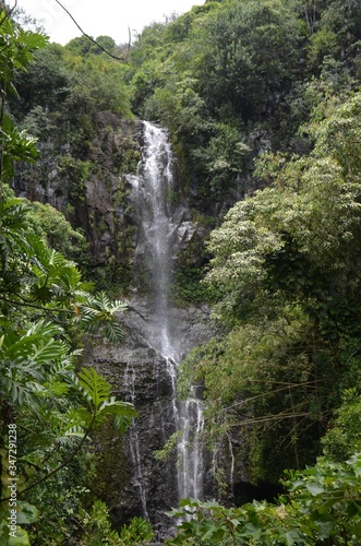 waterfall in the forest
