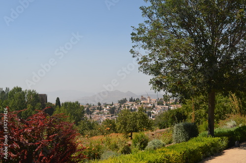 landscape with trees