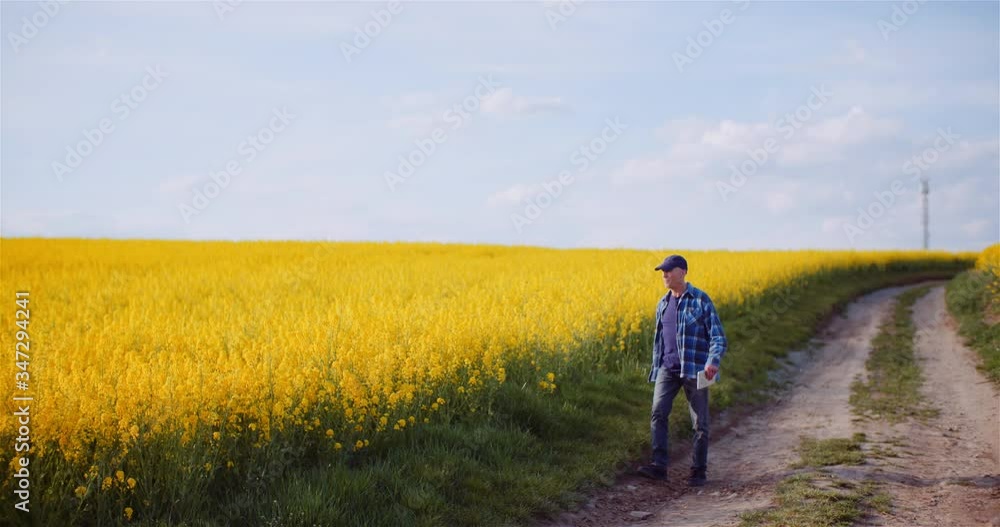 Farmer Examining Agricultural Field While Working on Digital Tablet Computer at Farm. Farmer Examining Agricultural Field While Working on Digital Tablet Computer at Farm.