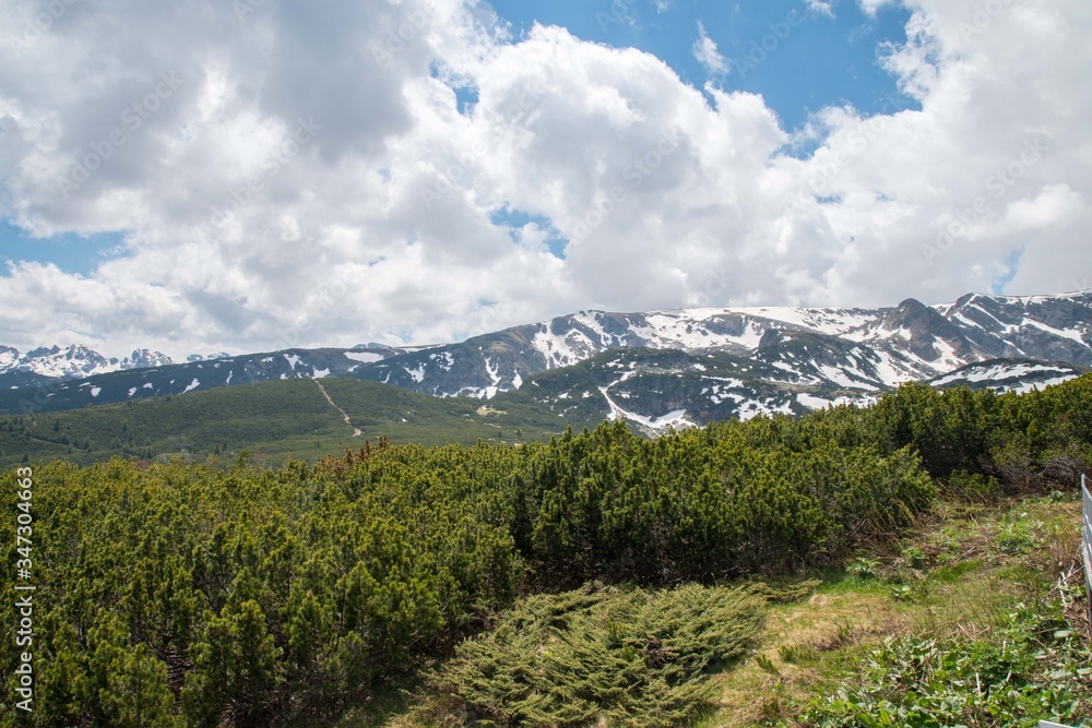 Contrasting terrain of both snow-capped mountains and lush green trees in Rila mountains.