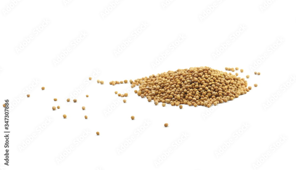 Dry yellow mustard seeds isolated on white background. Macro photo of sinapis alba close up. Seeds of white mustard (Sinapis alba). The seeds (Sinapis albae semen) Dry yellow mustard seeds isolated on white background. Macro photo of sinapis alba close up. Seeds of white mustard (Sinapis alba). The seeds (Sinapis albae semen)