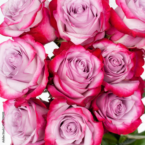 Bouquet of pink roses.