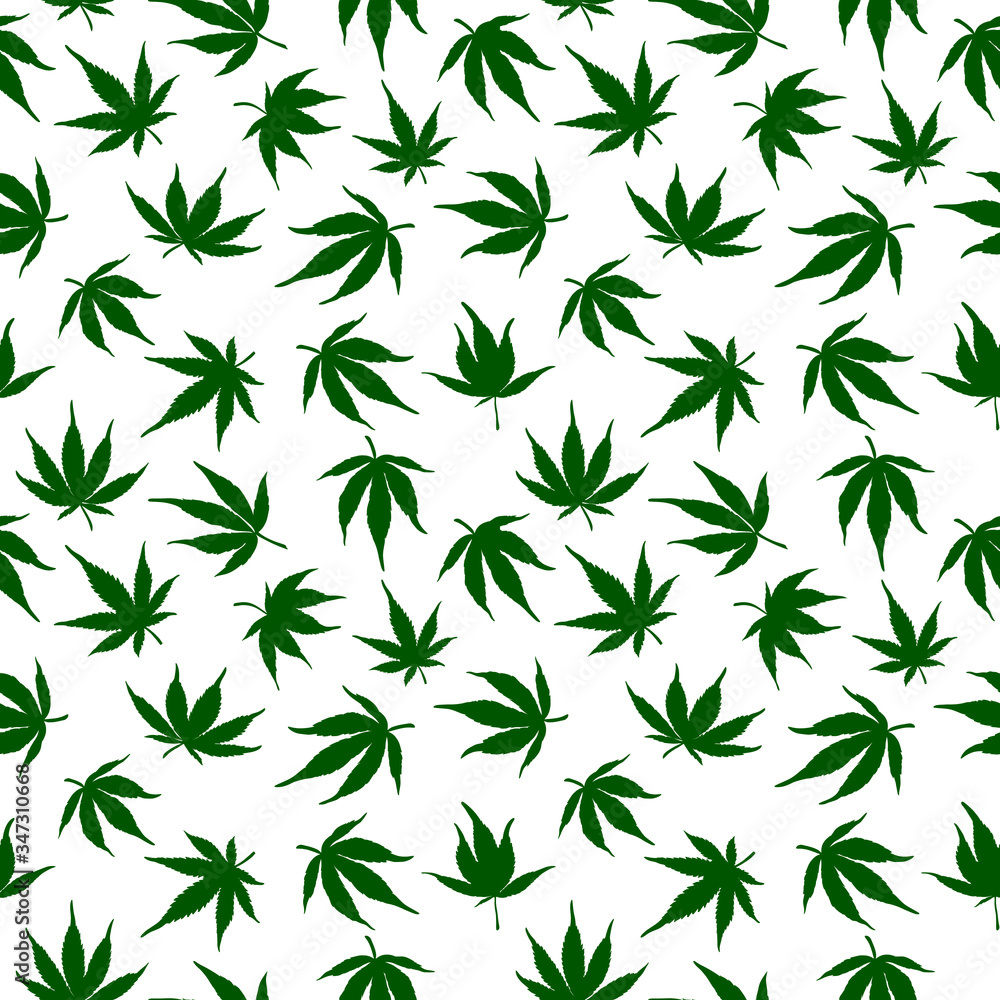 Seamless pattern of green cannabis leaves on a white background. Green hemp leaves..Seamless pattern of marijuana Seamless pattern of green cannabis leaves on a white background. Green hemp leaves..Seamless pattern of marijuana