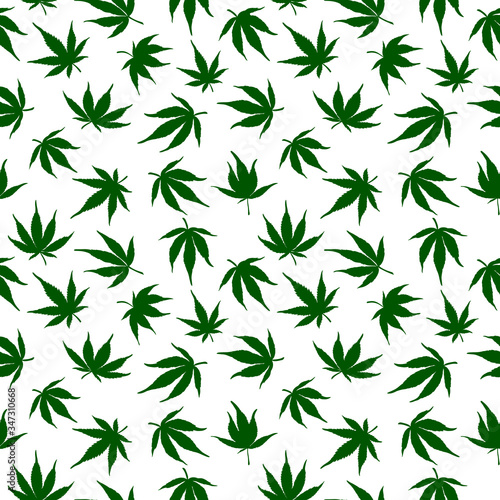 Seamless pattern of green cannabis leaves on a white background. Green hemp leaves..Seamless pattern of marijuana