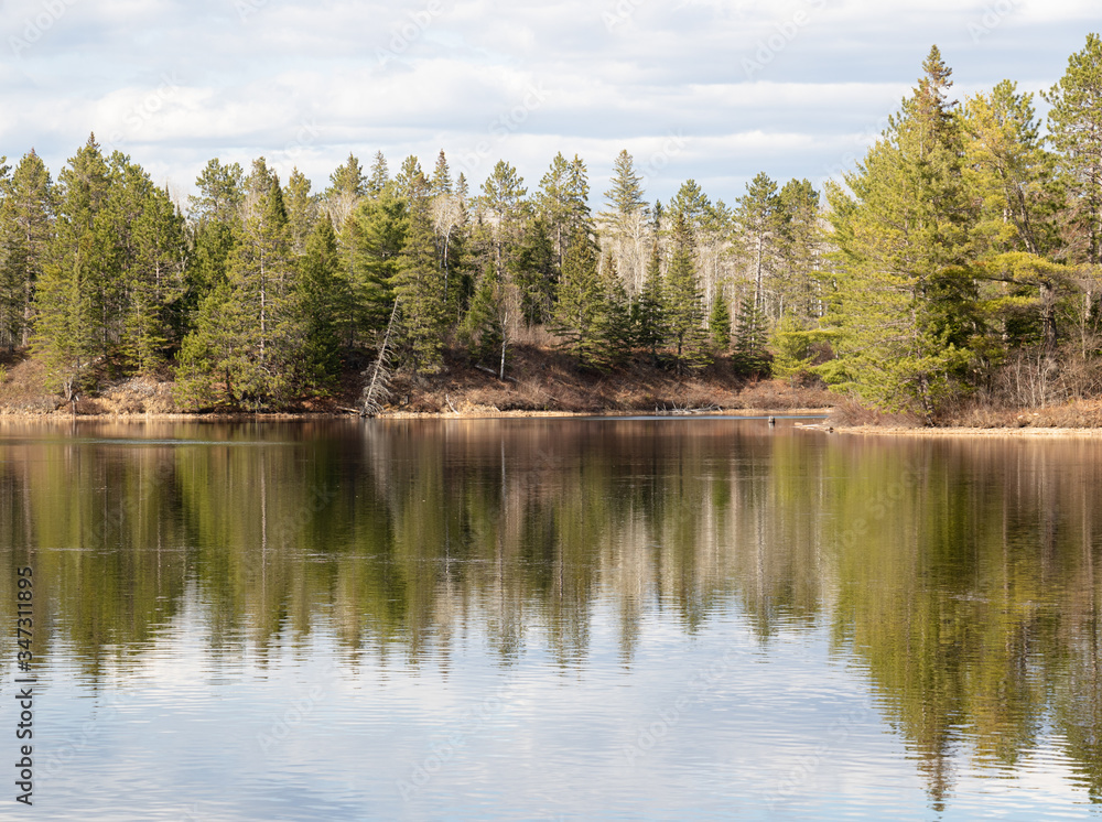 Reflections of spring forest in the water in Algonquin Park Ontario Canada