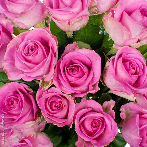 Bouquet of pink roses.