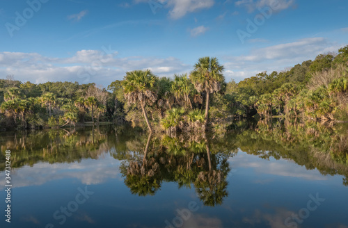 Gorgeous Floridian winter landscape