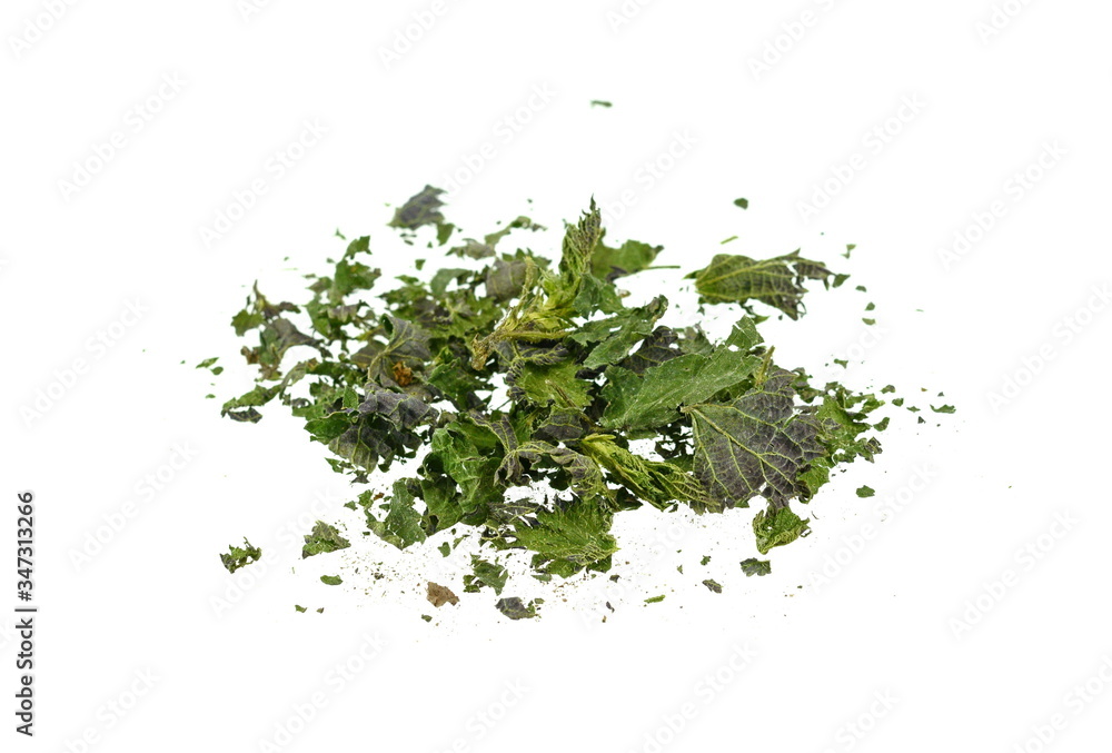 Closeup of dried nettle, heap of dried nettle isolated. Dry cut nettle pile, isolated on white background. Closeup of dried nettle, heap of dried nettle isolated. Dry cut nettle pile, isolated on white background.