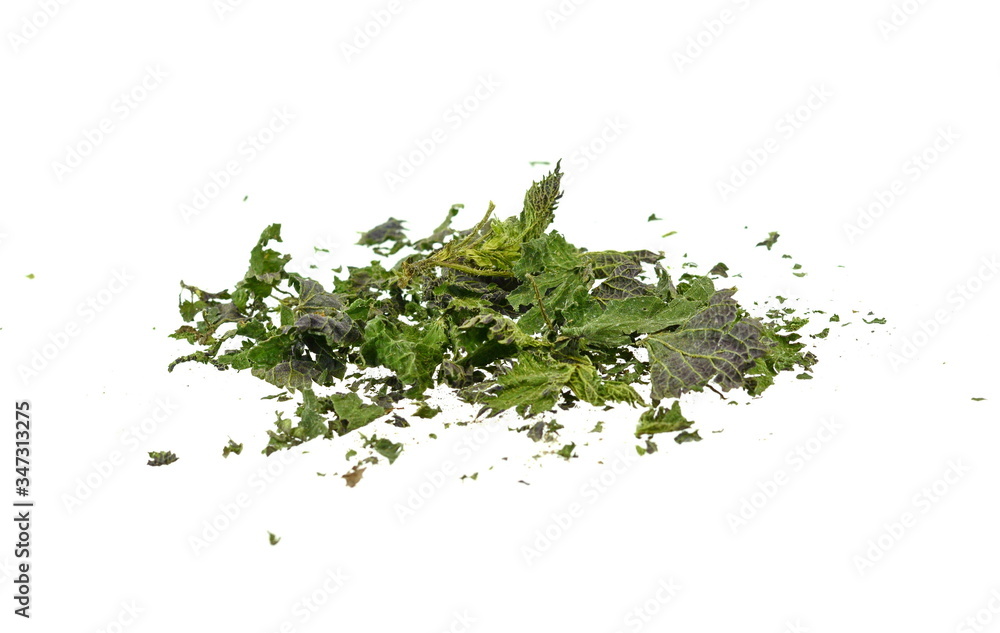 Closeup of dried nettle, heap of dried nettle isolated. Dry cut nettle pile, isolated on white background. Closeup of dried nettle, heap of dried nettle isolated. Dry cut nettle pile, isolated on white background.