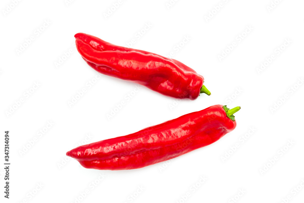 Two Fresh peppers isolated on white background. Red sweet paprika isolated.