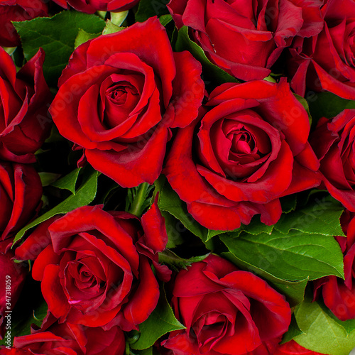 Bouquet of red roses.