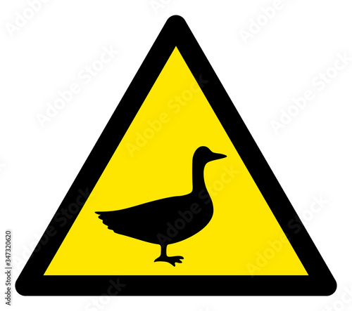 Vector goose flat warning sign. Triangle icon uses black and yellow colors. Symbol style is a flat goose hazard sign on a white background. Icons designed for notice signals, road signs,