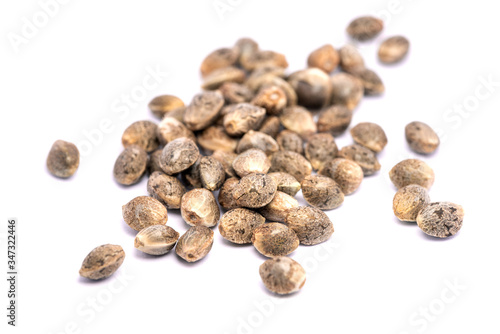 Cannabis Seeds Isolated on White Background