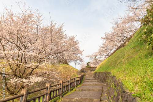 spring in the park