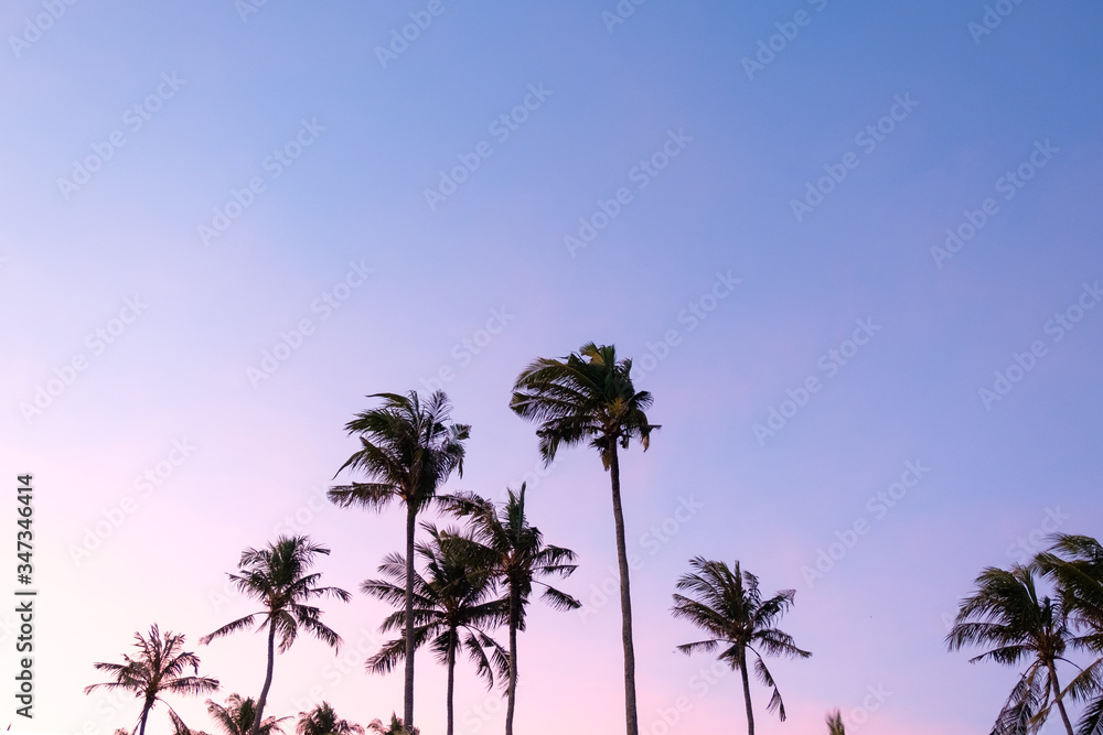 Fototapeta premium Beautiful outdoor view with silhouette coconut trees at tropical coast at the sunrise sky